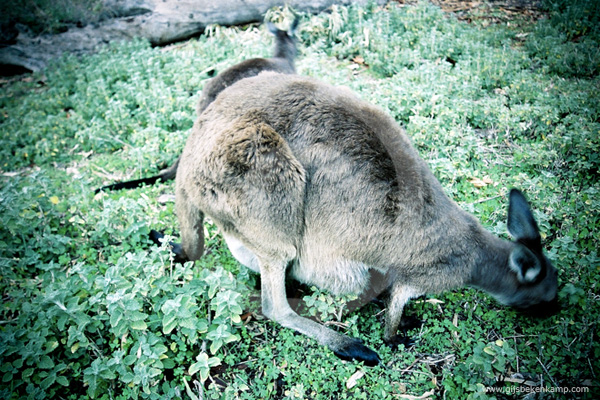 Australia06