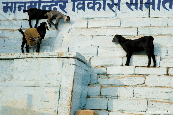 Gallivant-India03
