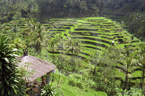 Indonesia01