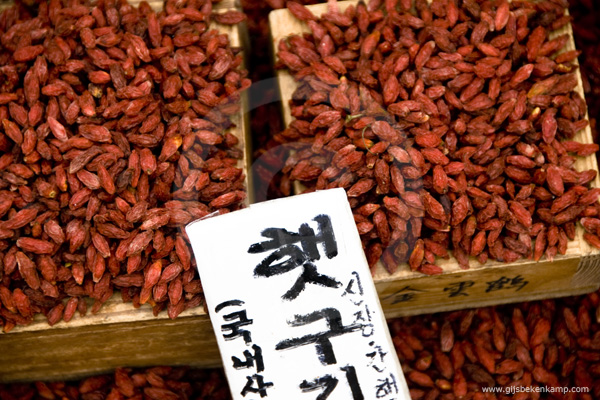 Korea10