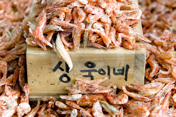Korea11