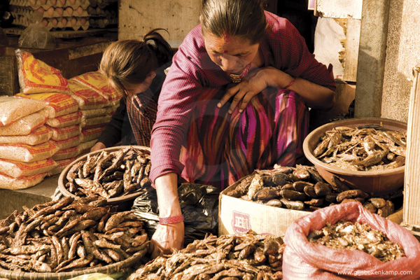 Nepal02