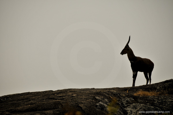 Uganda2012_GijsBekenkamp_26