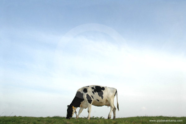 theNetherlands03