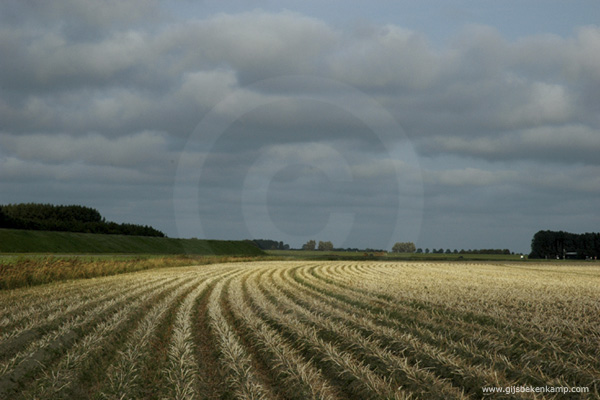 theNetherlands05